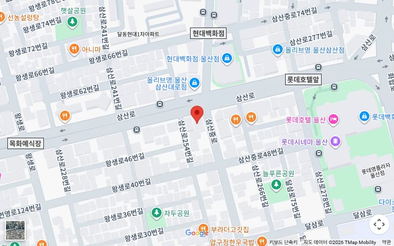 궁한의원 위치를 표시한 지도 — 삼산로, 현대백화점 대각선